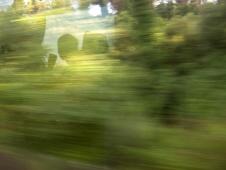 20060515124820-photo-6.jpg