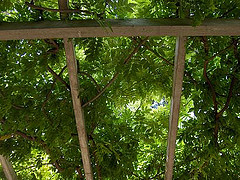 20060515235006-photo-45.jpg