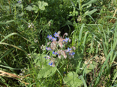 20060516025443-photo-55.jpg