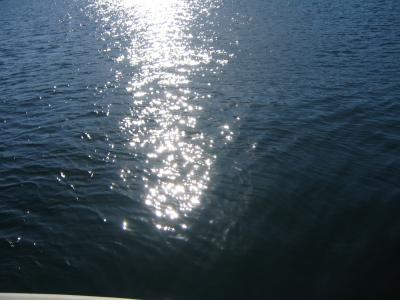 20060825230232-img-0738.jpg