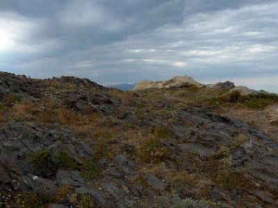 20060925124757-cdq-23-1.jpg