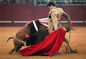 20070307201414-imagen7.jpg